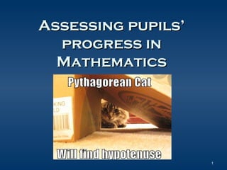 Assessing pupils’
progress in
Mathematics

1

 