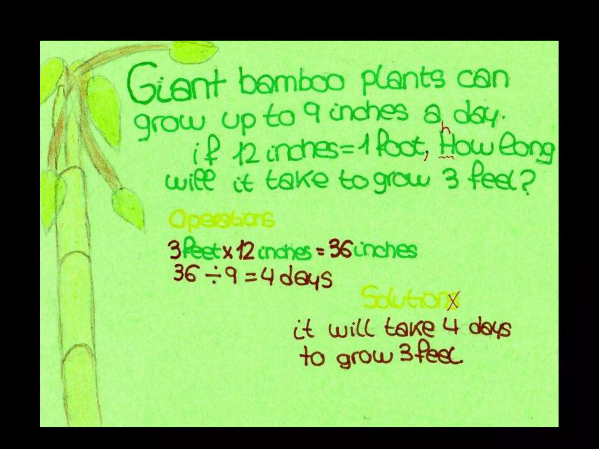 MATHS PROBLEMS IN THE FOREST