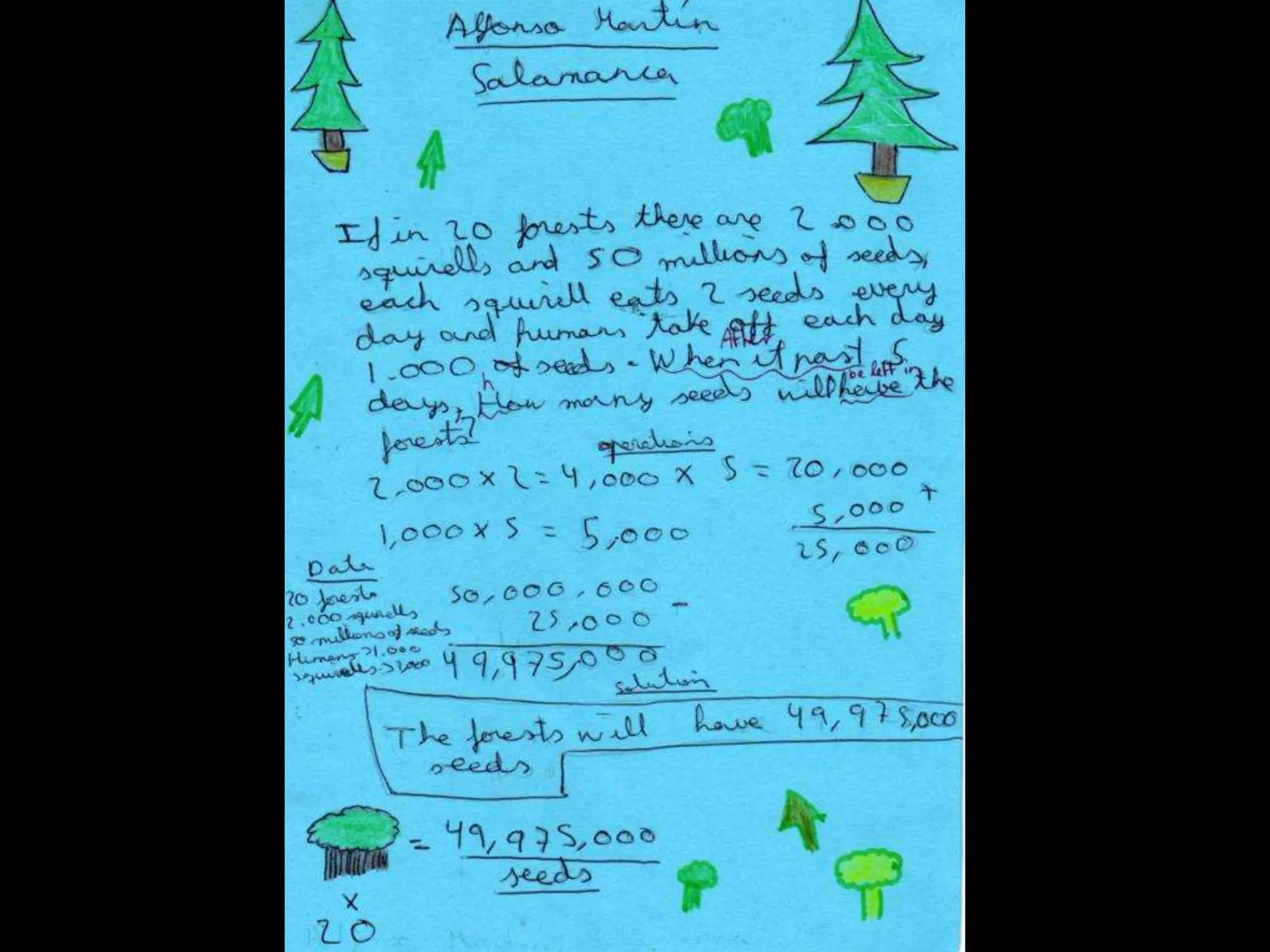 MATHS PROBLEMS IN THE FOREST