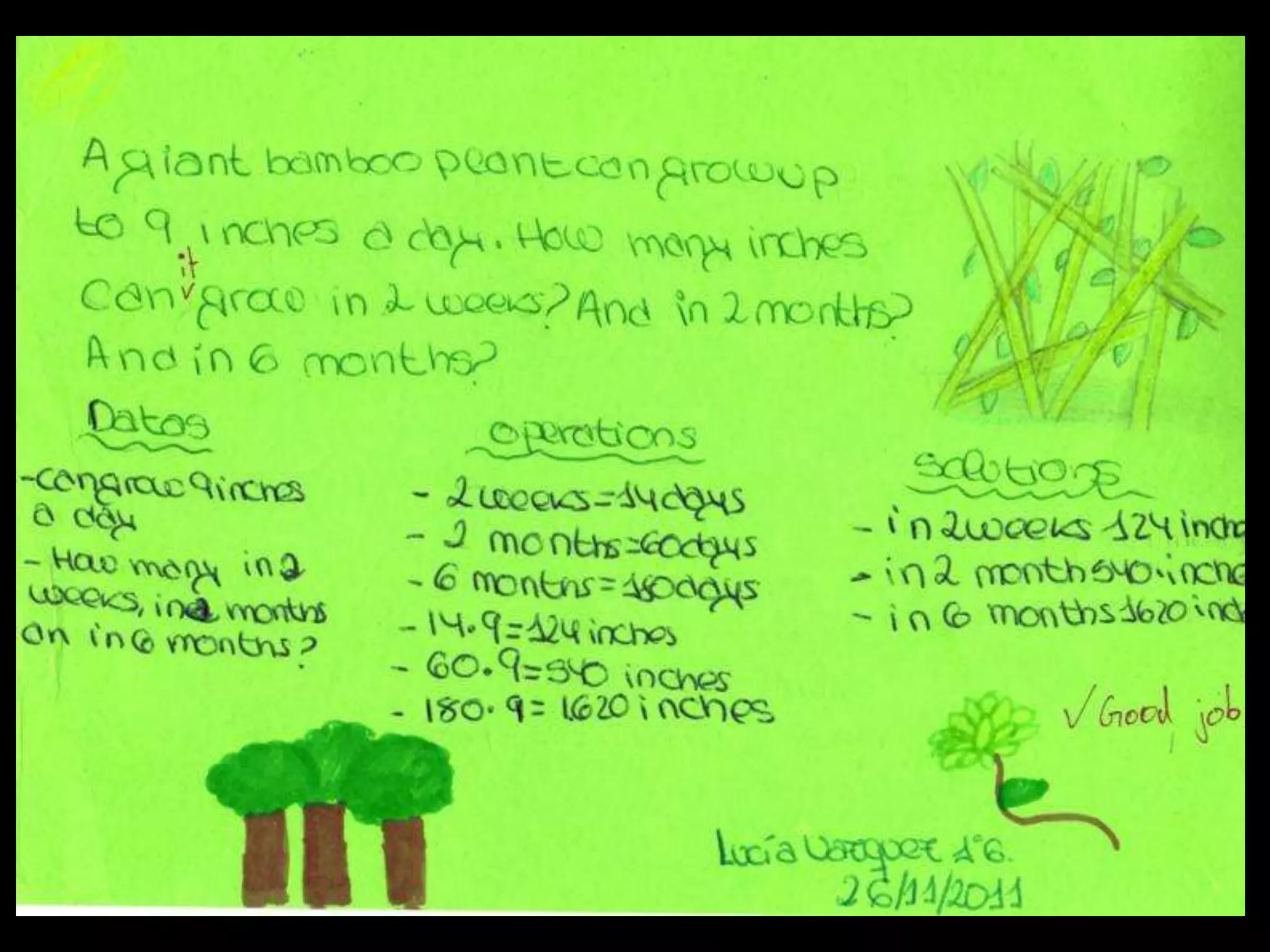 MATHS PROBLEMS IN THE FOREST