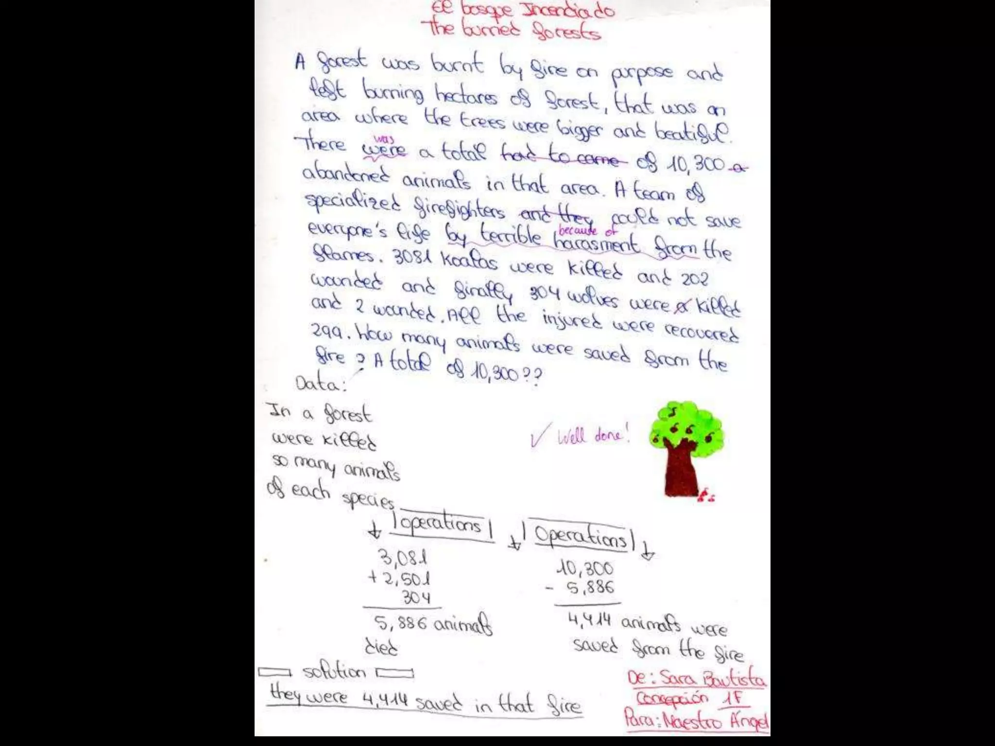 MATHS PROBLEMS IN THE FOREST
