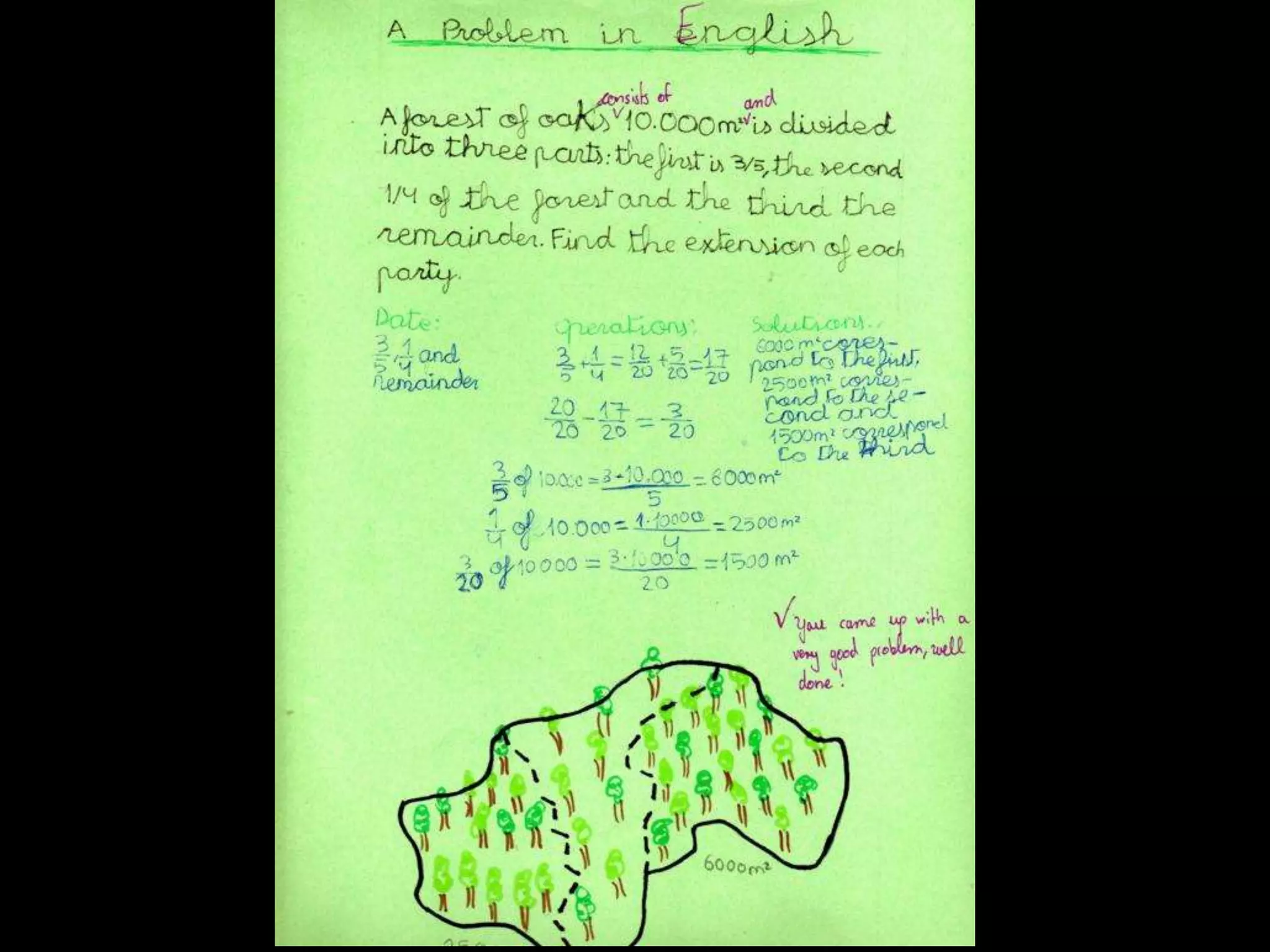 MATHS PROBLEMS IN THE FOREST