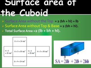  Surface Area without theTop = 2 (bh + hl) + lb .
 Surface Area withoutTop & Base = 2 (bh + hl).
 Total Surface Area =2 (lb + bh + hl).
 