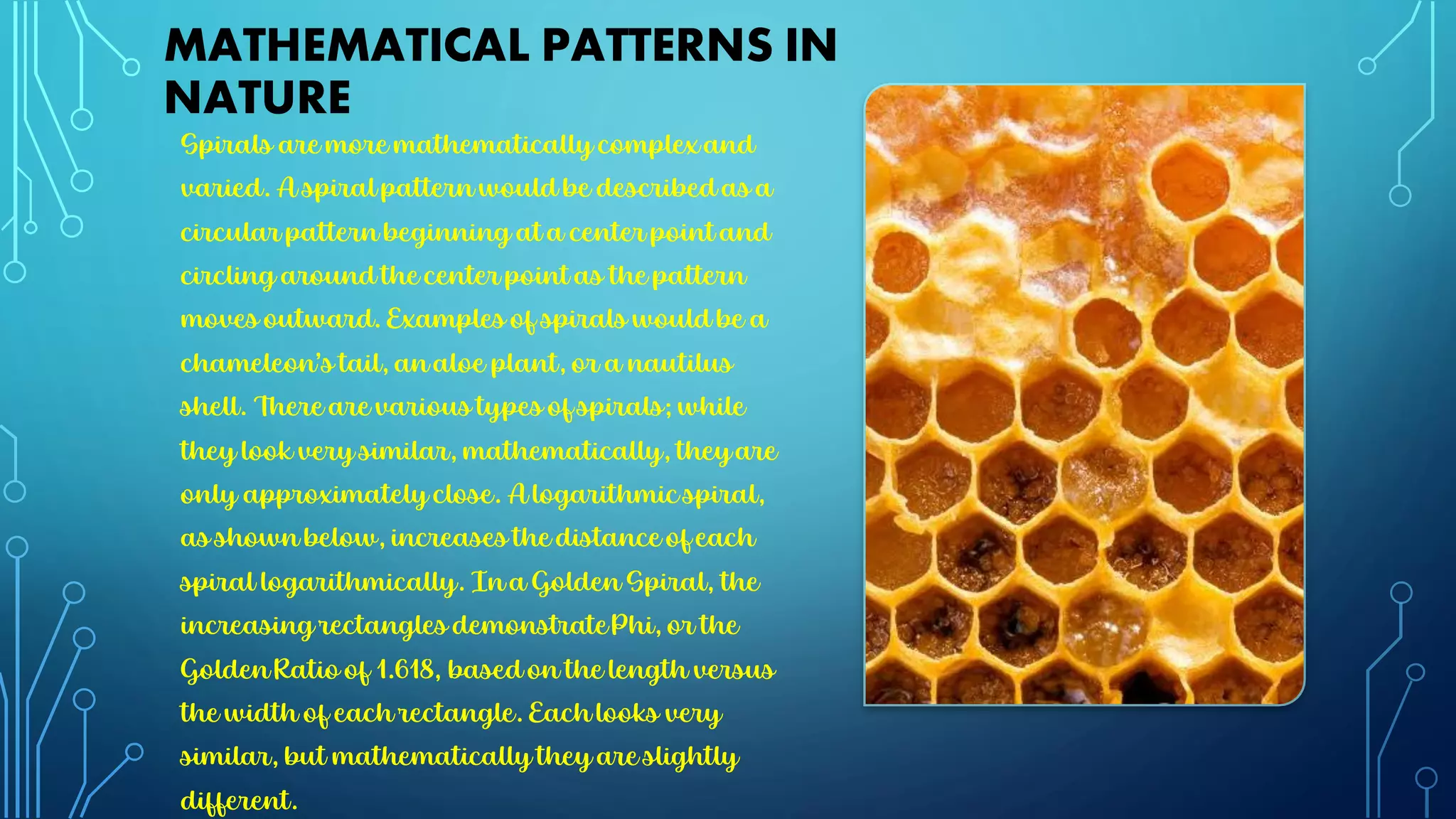 Mathematical patterns in nature | PDF