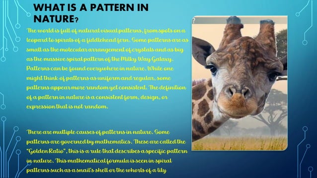 Mathematical patterns in nature | PDF | Geography | Science