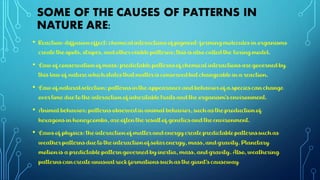 Mathematical patterns in nature | PDF