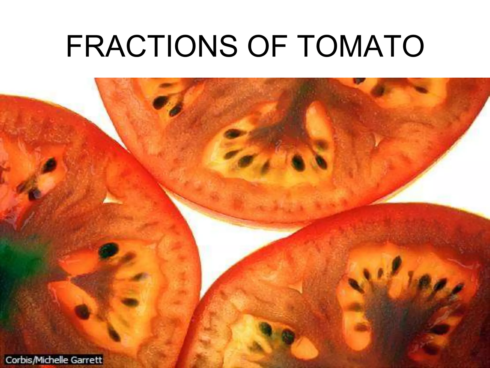 FRACTIONS OF TOMATO
 