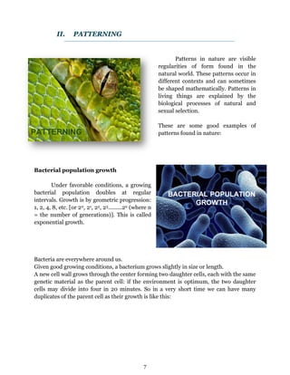 Maths in Nature and Biology | PDF