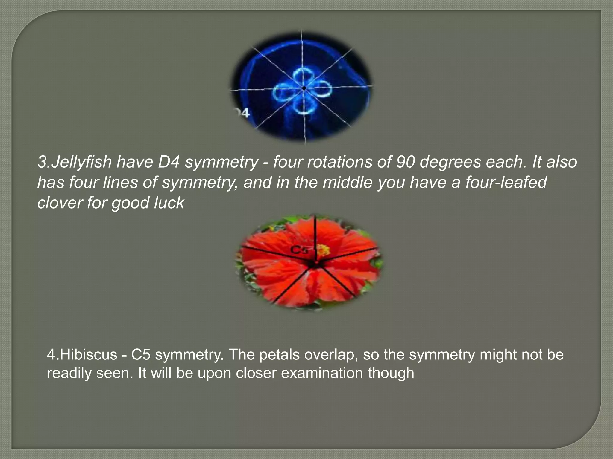 3.Jellyfish have D4 symmetry - four rotations of 90 degrees each. It also
has four lines of symmetry, and in the middle you have a four-leafed
clover for good luck




 4.Hibiscus - C5 symmetry. The petals overlap, so the symmetry might not be
 readily seen. It will be upon closer examination though
 