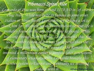 Fibonacci Spiral Aloe 
Leonardo of Pisa was born around 1170 AD in (of course) 
Pisa, Italy. While not quite as famous as some other 
Italian or Ninja Turtle Leonardos, we do have a lot to 
thank him for. His most notable contribution to your life is 
probably found on the top row of your keyboard. While 
traveling through North Africa, Leo discovered that the 
local number system of 0-9 was far superior than the 
obscure combination of X's, V's and I's the Romans had 
invented a millennium earlier to confuse later generations 
of elementary school students. Leonardo brought this 
number system to Europe and eventually we invented 
Sudoku with it. rdthakur78@gmail.com 
 