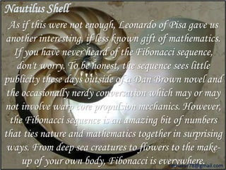 Nautilus Shell 
As if this were not enough, Leonardo of Pisa gave us 
another interesting, if less known gift of mathematics. 
If you have never heard of the Fibonacci sequence, 
don't worry. To be honest, the sequence sees little 
publicity these days outside of a Dan Brown novel and 
the occasionally nerdy conversation which may or may 
not involve warp core propulsion mechanics. However, 
the Fibonacci sequence is an amazing bit of numbers 
that ties nature and mathematics together in surprising 
ways. From deep sea creatures to flowers to the make-up 
of your own body, Fibonacci is everywhere. 
rdthakur78@gmail.com 
 