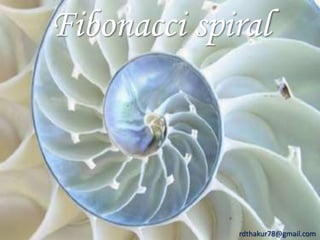Fibonacci spiral 
rdthakur78@gmail.com 
 