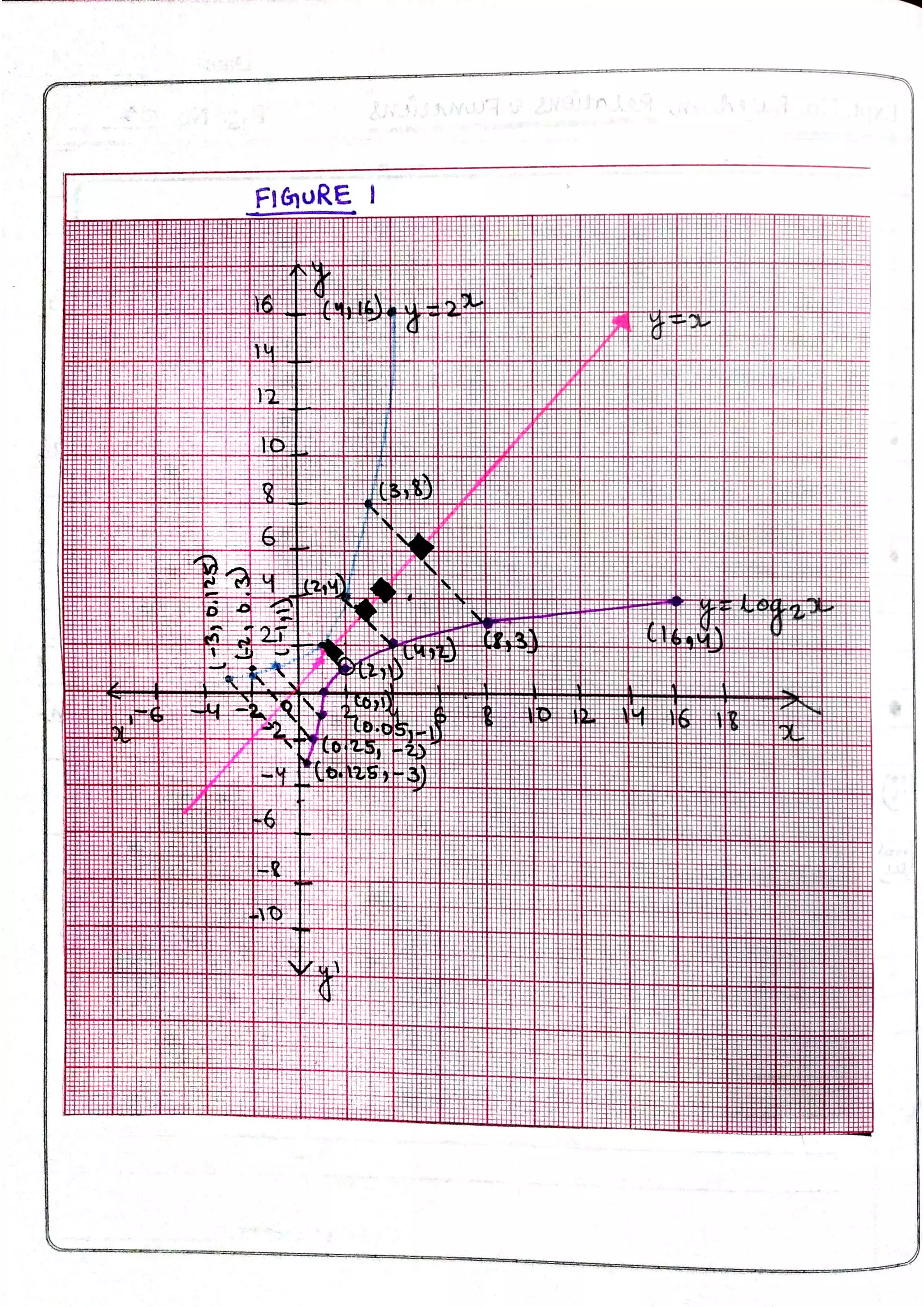 Maths practical file (class 12)
