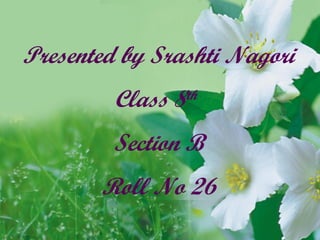 Presented by Srashti Nagori
         Class 8   th


         Section B
       Roll No 26
 