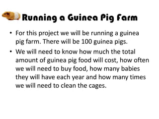• For this project we will be running a guinea
  pig farm. There will be 100 guinea pigs.
• We will need to know how much the total
  amount of guinea pig food will cost, how often
  we will need to buy food, how many babies
  they will have each year and how many times
  we will need to clean the cages.
 