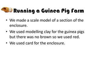 • We made a scale model of a section of the
  enclosure.
• We used modelling clay for the guinea pigs
  but there was no brown so we used red.
• We used card for the enclosure.
 