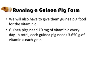 • We will also have to give them guinea pig food
  for the vitamin c.
• Guinea pigs need 10 mg of vitamin c every
  day. In total, each guinea pig needs 3.650 g of
  vitamin c each year.
 