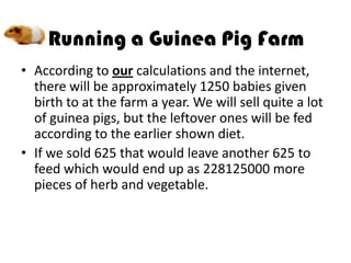 • According to our calculations and the internet,
  there will be approximately 1250 babies given
  birth to at the farm a year. We will sell quite a lot
  of guinea pigs, but the leftover ones will be fed
  according to the earlier shown diet.
• If we sold 625 that would leave another 625 to
  feed which would end up as 228125000 more
  pieces of herb and vegetable.
 