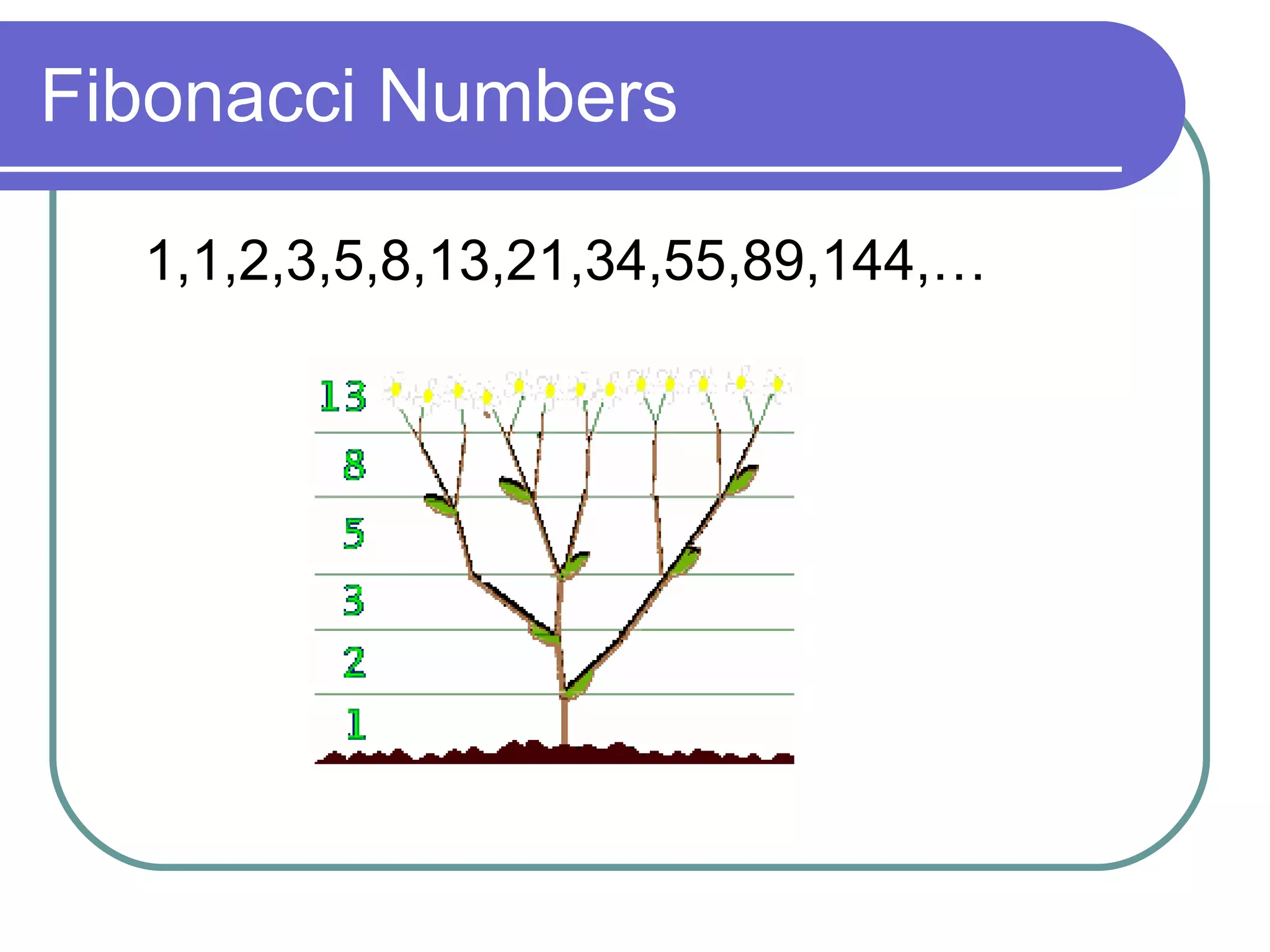 Fibonacci Numbers 1,1,2,3,5,8,13,21,34,55,89,144,… 