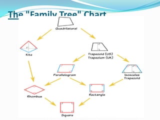 The "Family Tree" Chart
 