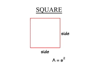 SQUARE
 