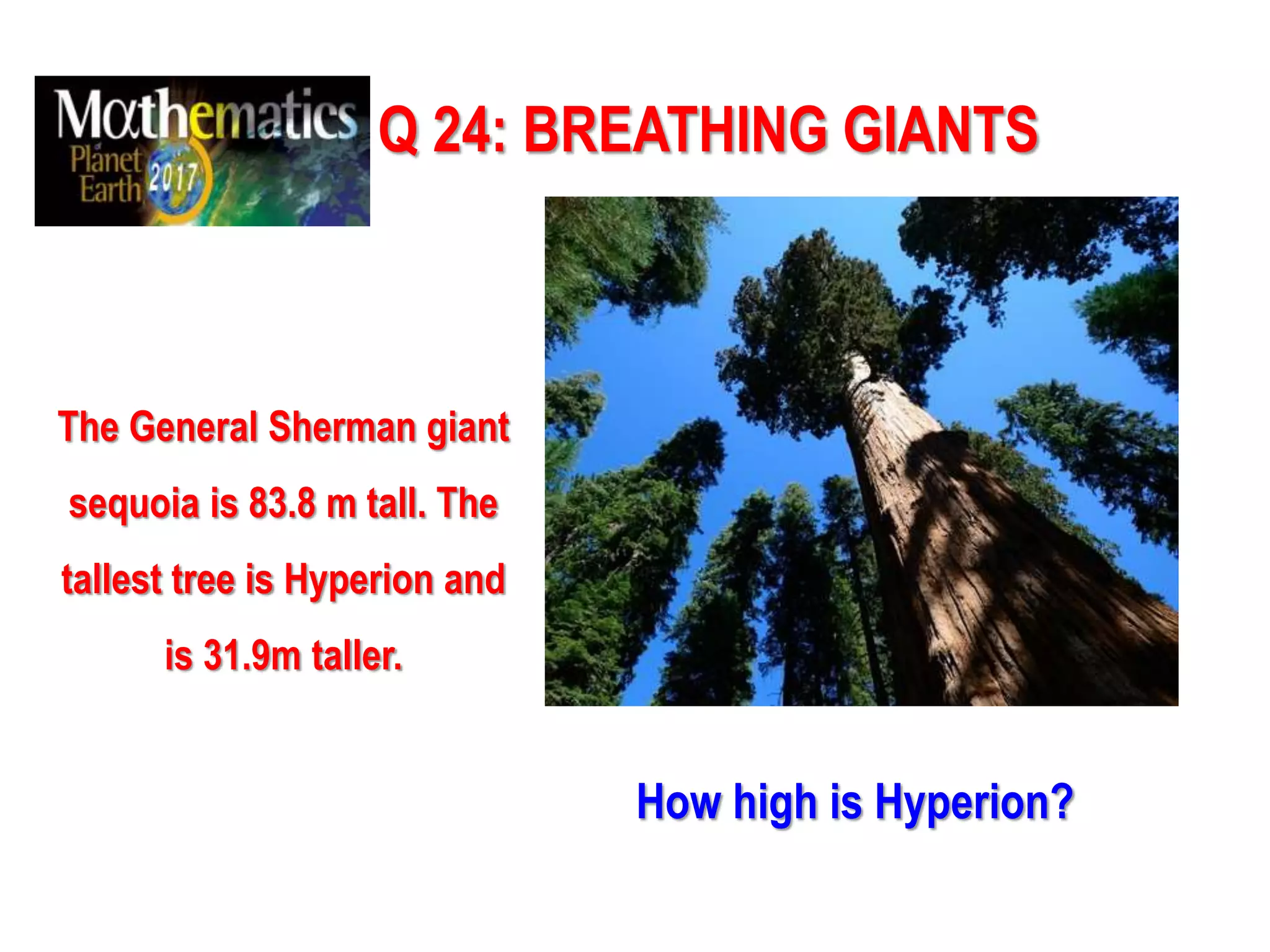 Q 24: BREATHING GIANTS
The General Sherman giant
sequoia is 83.8 m tall. The
tallest tree is Hyperion and
is 31.9m taller.
How high is Hyperion?
 
