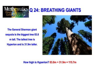 Q 24: BREATHING GIANTS
The General Sherman giant
sequoia is the biggest tree 83.8
m tall. The tallest tree is
Hyperion and is 31.9m taller.
How high is Hyperion? 83.8m + 31.9m = 115.7m
 