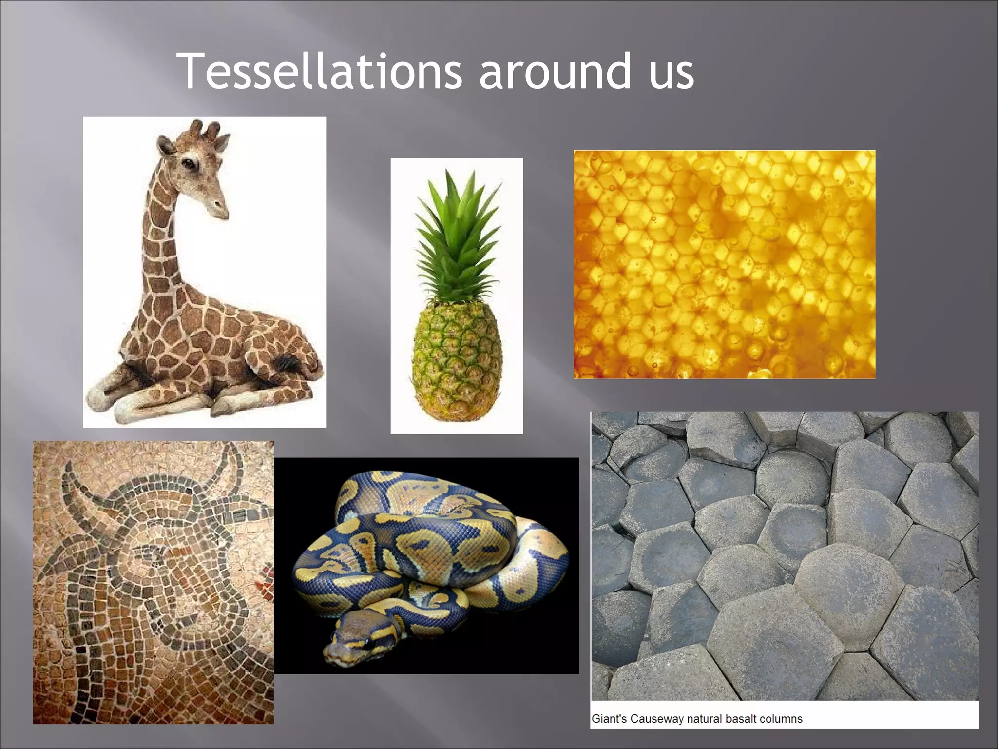 Tessellations around us 
 