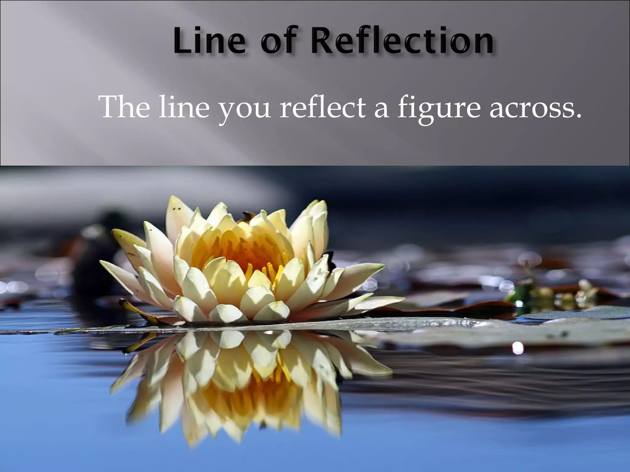 The line you reflect a figure across. 
 