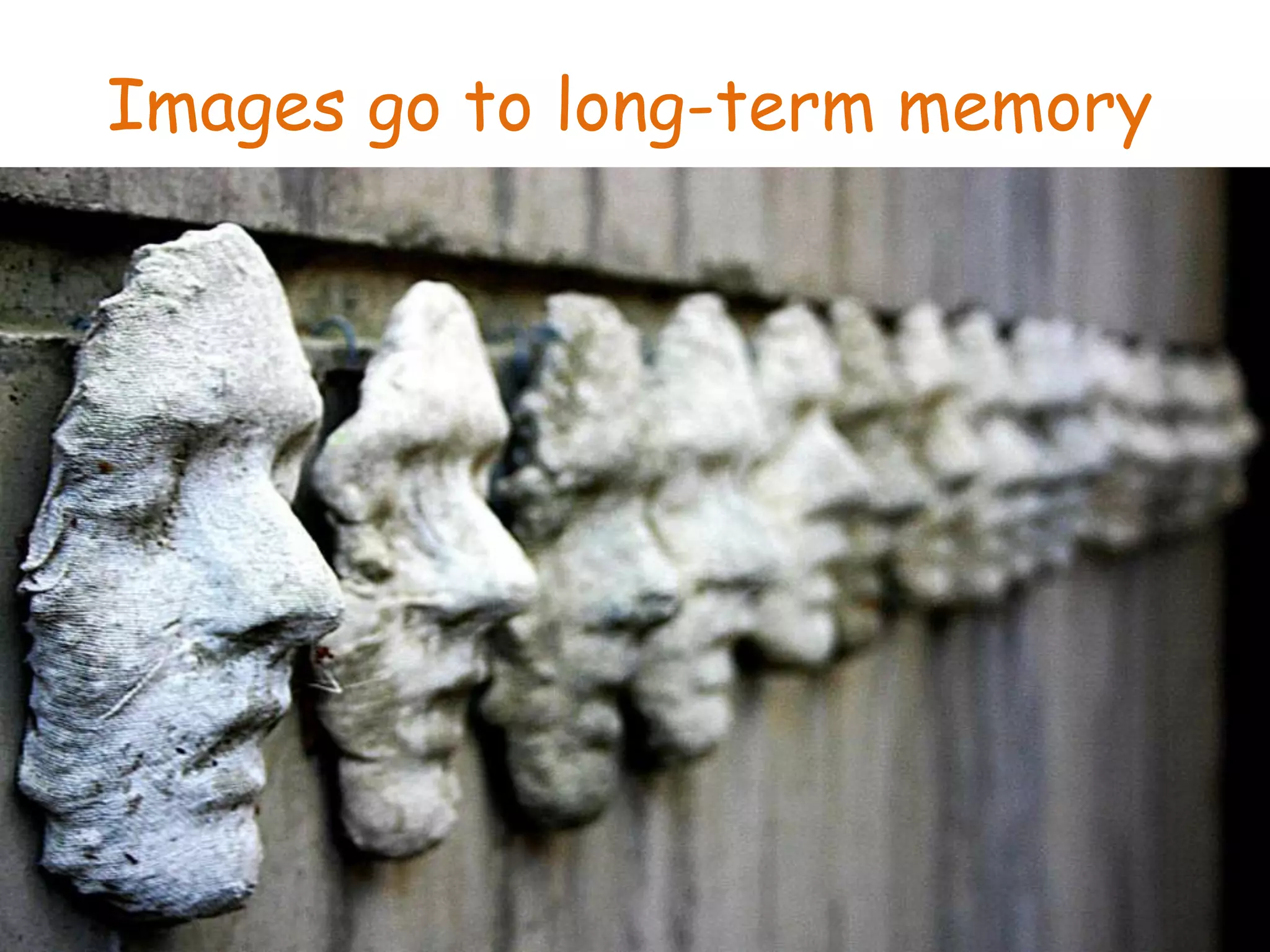 Did you ever see something in a split secondthat will remain with you forever?