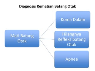 Diagnosis Kematian Batang Otak
Mati Batang
Otak
Koma Dalam
Hilangnya
Refleks batang
Otak
Apnea
 