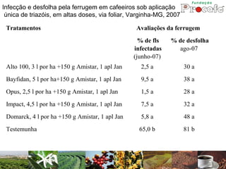 Infecção e desfolha pela ferrugem em cafeeiros sob aplicação
 única de triazóis, em altas doses, via foliar, Varginha-MG, 2007

 Tratamentos                                      Avaliações da ferrugem
                                                    % de fls   % de desfolha
                                                  infectadas     ago-07
                                                  (junho-07)
 Alto 100, 3 l por ha +150 g Amistar, 1 apl Jan     2,5 a           30 a
 Bayfidan, 5 l por ha+150 g Amistar, 1 apl Jan      9,5 a           38 a
 Opus, 2,5 l por ha +150 g Amistar, 1 apl Jan       1,5 a           28 a

 Impact, 4,5 l por ha +150 g Amistar, 1 apl Jan     7,5 a           32 a
 Domarck, 4 l por ha +150 g Amistar, 1 apl Jan      5,8 a           48 a
 Testemunha                                         65,0 b          81 b
 