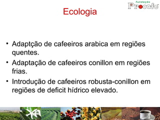 Ecologia


• Adaptção de cafeeiros arabica em regiões
  quentes.
• Adaptação de cafeeiros conillon em regiões
  frias.
• Introdução de cafeeiros robusta-conillon em
  regiões de deficit hídrico elevado.
 