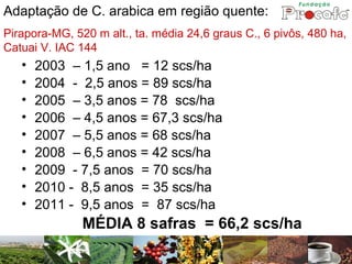 Adaptação de C. arabica em região quente:
Pirapora-MG, 520 m alt., ta. média 24,6 graus C., 6 pivôs, 480 ha,
Catuai V. IAC 144
   •   2003 – 1,5 ano = 12 scs/ha
   •   2004 - 2,5 anos = 89 scs/ha
   •   2005 – 3,5 anos = 78 scs/ha
   •   2006 – 4,5 anos = 67,3 scs/ha
   •   2007 – 5,5 anos = 68 scs/ha
   •   2008 – 6,5 anos = 42 scs/ha
   •   2009 - 7,5 anos = 70 scs/ha
   •   2010 - 8,5 anos = 35 scs/ha
   •   2011 - 9,5 anos = 87 scs/ha
               MÉDIA 8 safras = 66,2 scs/ha
 