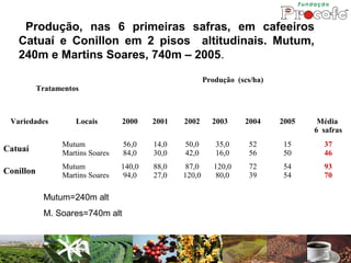 Produção, nas 6 primeiras safras, em cafeeiros
   Catuaí e Conillon em 2 pisos altitudinais. Mutum,
   240m e Martins Soares, 740m – 2005.

                                                         Produção (scs/ha)
           Tratamentos



 Variedades          Locais       2000    2001   2002      2003     2004     2005    Média
                                                                                    6 safras
                 Mutum            56,0    14,0   50,0       35,0      52     15       37
Catuaí           Martins Soares   84,0    30,0   42,0       16,0      56     50       46
                 Mutum            140,0   88,0    87,0      120,0     72     54       93
Conillon         Martins Soares   94,0    27,0   120,0      80,0      39     54       70

            Mutum=240m alt
            M. Soares=740m alt
 