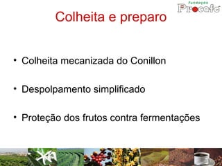 Colheita e preparo


• Colheita mecanizada do Conillon

• Despolpamento simplificado

• Proteção dos frutos contra fermentações
 