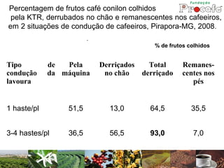 Percentagem de frutos café conilon colhidos
 pela KTR, derrubados no chão e remanescentes nos cafeeiros,
em 2 situações de condução de cafeeiros, Pirapora-MG, 2008.
                        -
                                           % de frutos colhidos


Tipo         de  Pela       Derriçados   Total       Remanes-
condução     da máquina      no chão   derriçado     centes nos
lavoura                                                 pés


1 haste/pl       51,5         13,0       64,5           35,5


3-4 hastes/pl    36,5         56,5       93,0           7,0
 