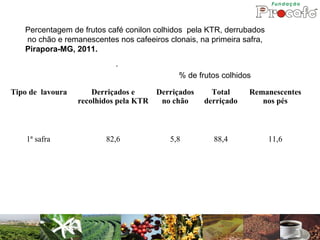 Percentagem de frutos café conilon colhidos pela KTR, derrubados
   no chão e remanescentes nos cafeeiros clonais, na primeira safra,
   Pirapora-MG, 2011.
                           -

                                            % de frutos colhidos

Tipo de lavoura       Derriçados e    Derriçados     Total     Remanescentes
                  recolhidos pela KTR  no chão     derriçado      nos pés



    1ª safra             82,6             5,8         88,4             11,6
 