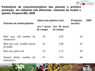 Parâmetros de crescimento(altura das plantas) e primeira
produção em cafeeiros sob diferentes sistemas de mudas e
plantio, Pirapora-MG, 2009

                                Altura das plantas (cm)    Produção   2009
 Sistemas de mudas/plantio                                 (scs/ha)
                                Aos 7 meses Aos 18 meses
                                de campo    de campo

 Raiz nua, sob sombra de            65            1,45           63
 mamoeiros
 Raiz nua, sob sombra inicial       61            1,40           61
 de palha
 Raiz nua, pleno sol                53            1,15           58

 Semeio direto, sombra de           67            1,54           66
 mamoeiros
 
