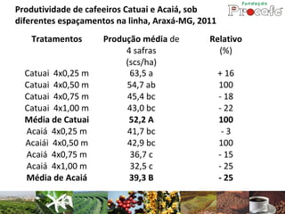 Produtividade de cafeeiros Catuai e Acaiá, sob
diferentes espaçamentos na linha, Araxá-MG, 2011
   Tratamentos       Produção média de        Relativo
                          4 safras              (%)
                          (scs/ha)
  Catuai 4x0,25 m          63,5 a                  + 16
  Catuai 4x0,50 m         54,7 ab                  100
  Catuai 4x0,75 m         45,4 bc                  - 18
  Catuai 4x1,00 m         43,0 bc                  - 22
  Média de Catuai          52,2 A                  100
  Acaiá 4x0,25 m          41,7 bc                   -3
  Acaiái 4x0,50 m         42,9 bc                  100
  Acaiá 4x0,75 m           36,7 c                  - 15
  Acaiá 4x1,00 m           32,5 c                  - 25
  Média de Acaiá           39,3 B                  - 25
 