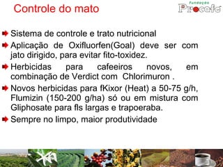 Controle do mato

Sistema de controle e trato nutricional
Aplicação de Oxifluorfen(Goal) deve ser com
jato dirigido, para evitar fito-toxidez.
Herbicidas      para     cafeeiros      novos, em
combinação de Verdict com Chlorimuron .
Novos herbicidas para fKixor (Heat) a 50-75 g/h,
Flumizin (150-200 g/ha) só ou em mistura com
Gliphosate para fls largas e trapoeraba.
Sempre no limpo, maior produtividade
 