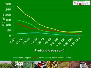 K (mg/dm3)




                                                        100
                                                              150
                                                                    200
                                                                          250
                                                                                300




                                                   50
                                               0
                                     0
                                         -1
                                           5
                                     15
                                        -3
                                           0
                                     3
                                       0-
                                         45




Área Virgem
                                     45
                                        -6
                                           0
                                     6
                                       0-
                                         7
                                           5




2 anos
                                     75
                                        -9
                                   9       0
                                     0-
                                        10
4 anos
                                  1
                                    05 5
                                       -1
              Profundidade (cm)



                                  12 20
                                     0
                                       -1
11 anos




                                  1       35
                                    35
                                       -1
                                          50
 