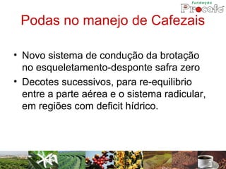 Podas no manejo de Cafezais

• Novo sistema de condução da brotação
  no esqueletamento-desponte safra zero
• Decotes sucessivos, para re-equilibrio
  entre a parte aérea e o sistema radicular,
  em regiões com deficit hídrico.
 