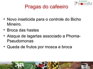 Pragas do cafeeiro

• Novo inseticida para o controle do Bicho
  Mineiro.
• Broca das hastes
• Ataque de lagartas associado a Phoma-
  Pseudomonas
• Queda de frutos por mosca e broca
 