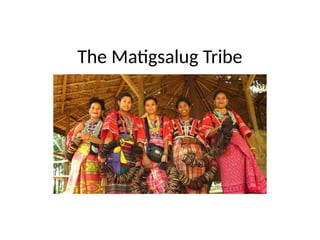 Matigsalug Tribe Presentation. gjfxkuyfituye4 | PPTX