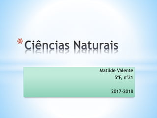 Matilde Valente
5ºF, nº21
2017-2018
*
 