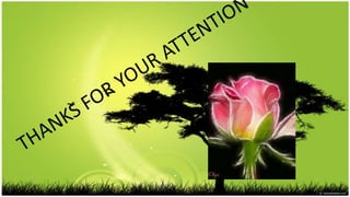 Matilde hidalgo de procel