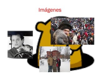 Imágenes
 