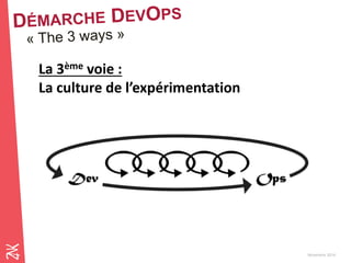 Novembre 2014 
La 3ème voie : 
La culture de l’expérimentation 
 