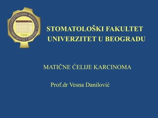 STOMATOLOŠKI FAKULTET
UNIVERZITET U BEOGRADU
MATIČNE ĆELIJE KARCINOMA
Prof.dr Vesna Danilović
 